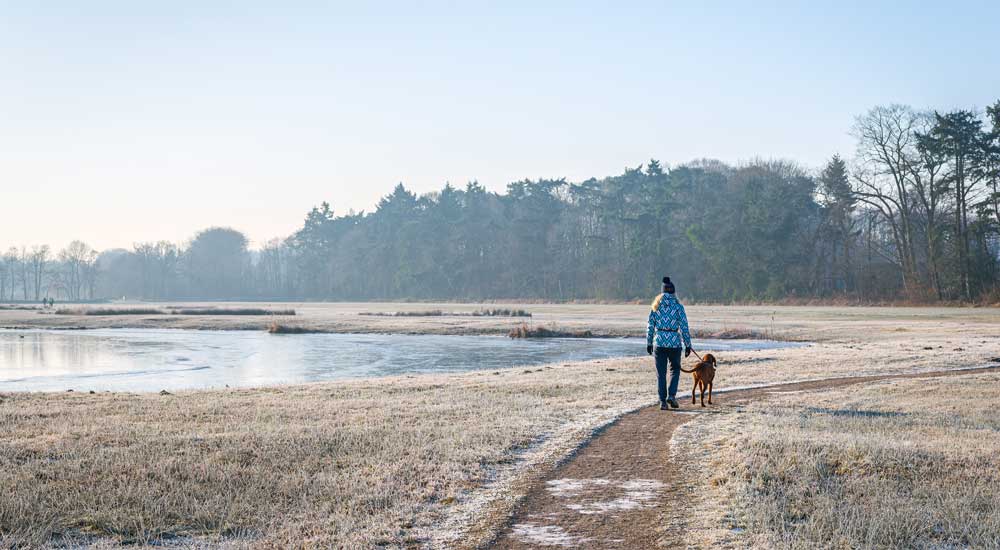 woman walking beside lake on frost covered ground with dog