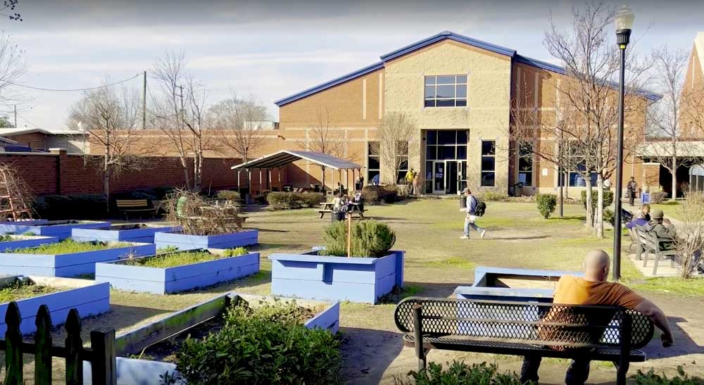 large lawn with benches and flower beds in front of building