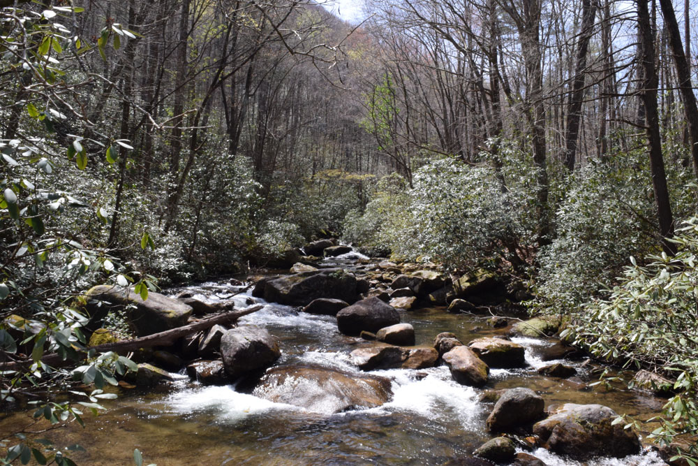 Jones Gap