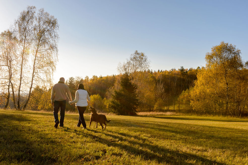 couple walking with dog