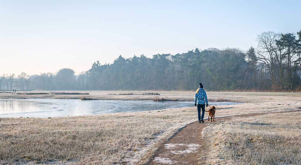Woman walking beside lake on frost covered ground with dog
