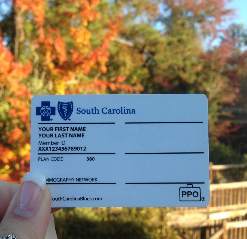 person holding blue cross id card