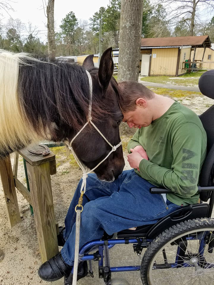 Man in wheelchair with horse