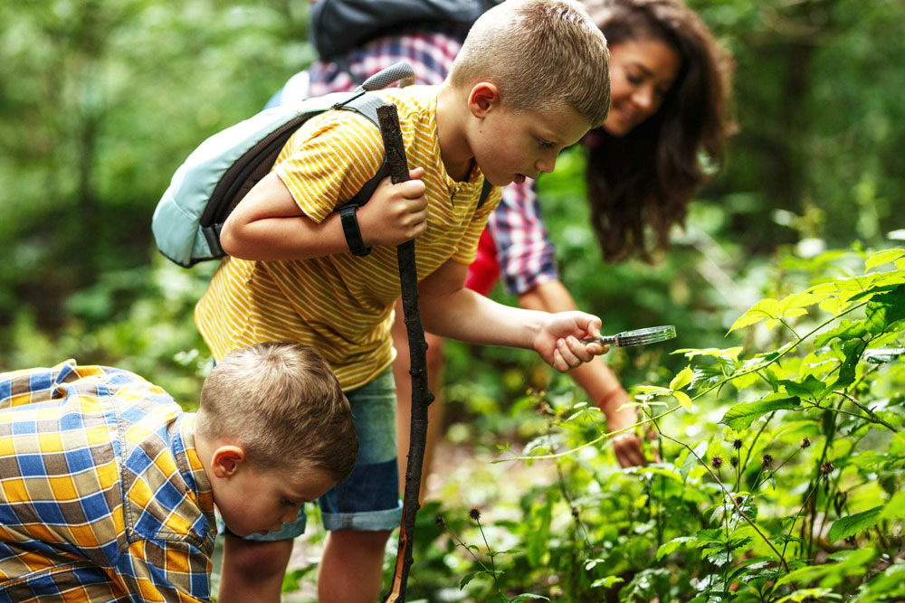 children looking at plants on trail with mother