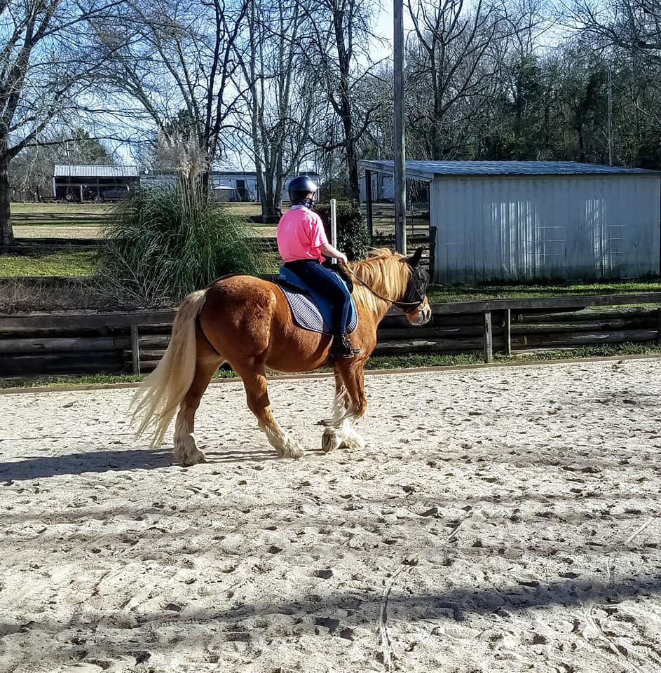 young person riding horse around paddock