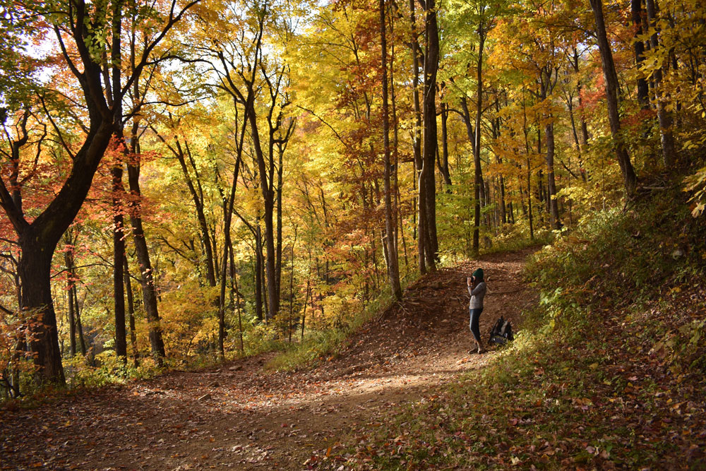 woman taking a picture in forest with changing leaves