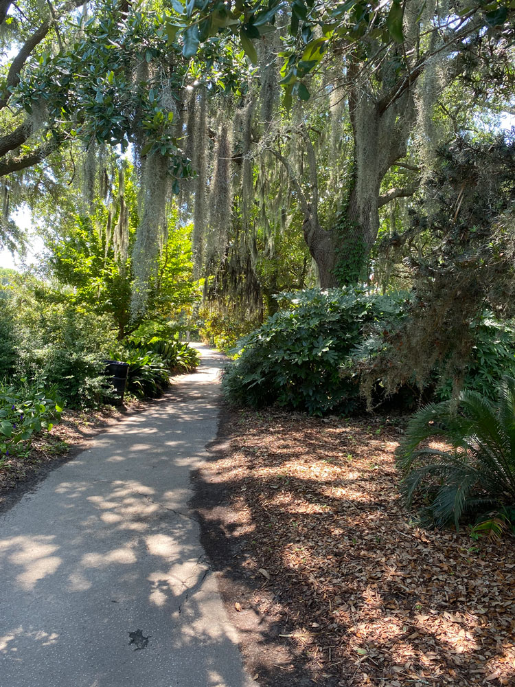 Hampton Park in Charleston