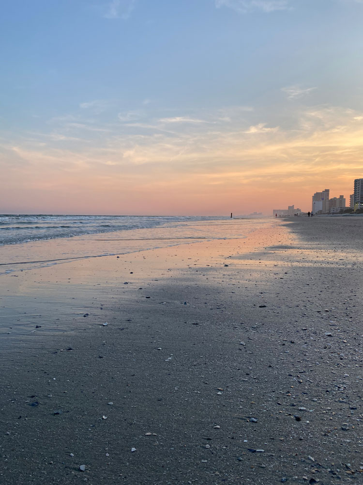 beach with pink sunset