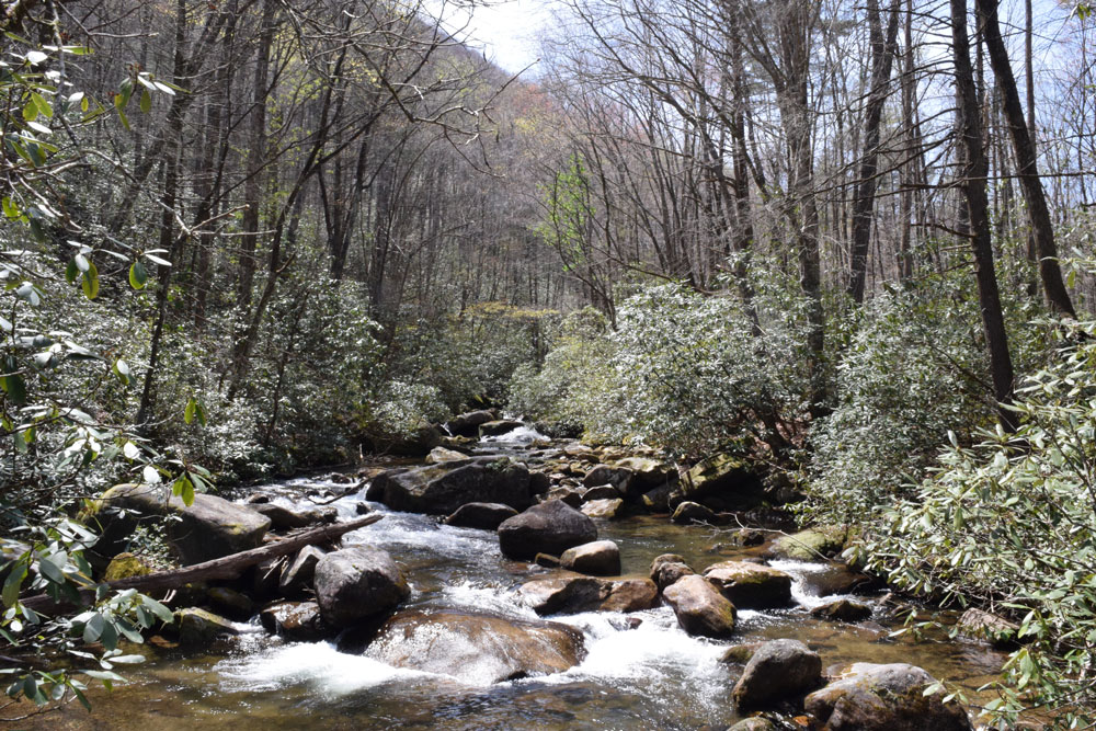 river water running across rocks