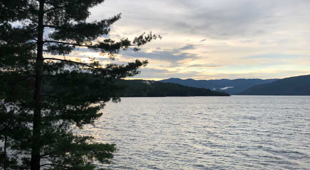 tree in front of lake with mountains in background